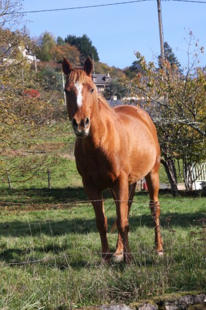 Toujours mon vieux pépère Dioni !